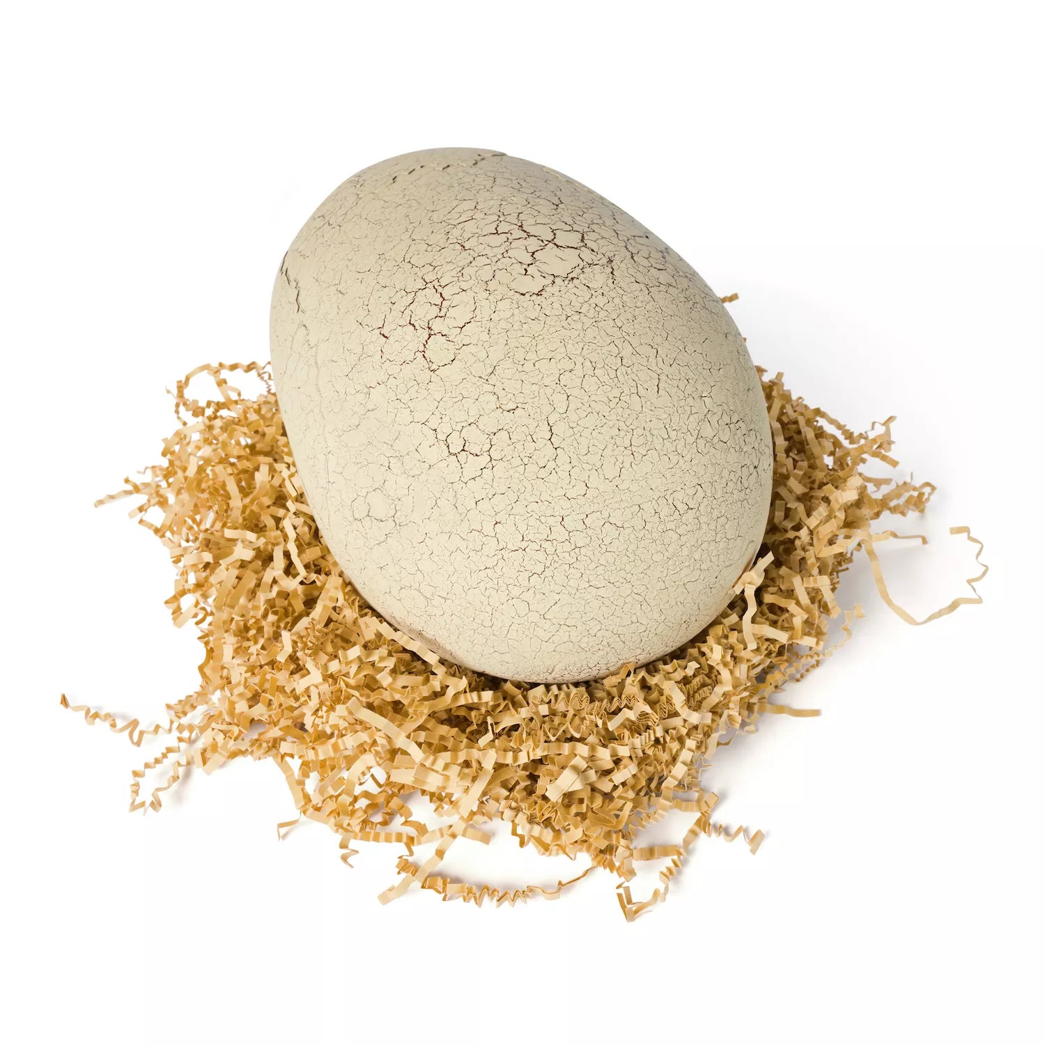 Primal Hatch Interactive Toy Dinosaur & Egg